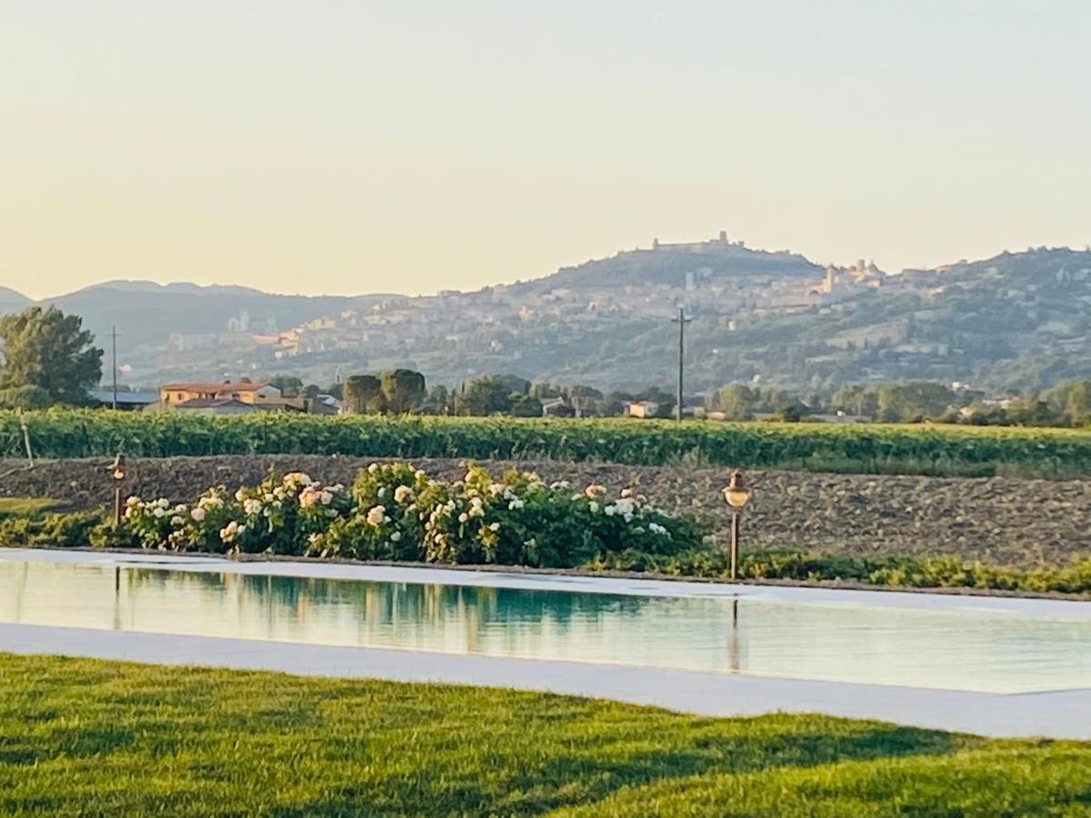 Borgo Degli Angeli Resort e Spa San Vitale Eksteriør bilde
